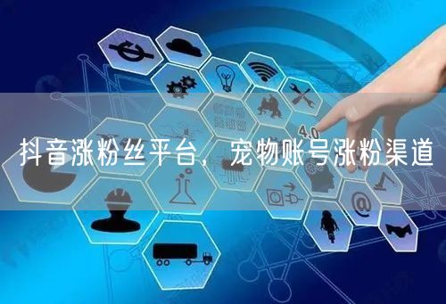 抖音涨粉丝平台，宠物账号涨粉渠道