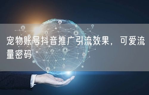 宠物账号抖音推广引流效果，可爱流量密码