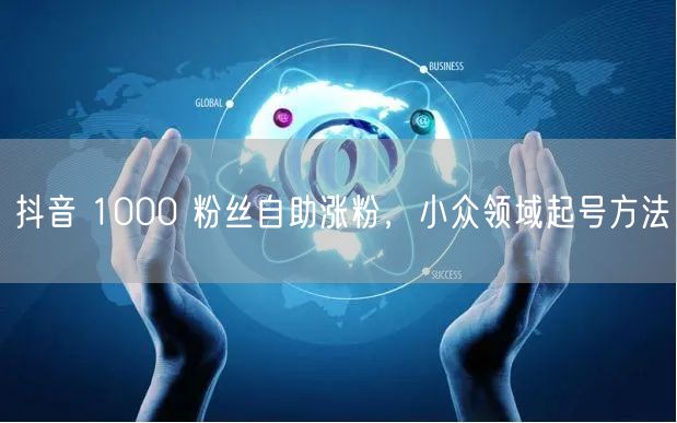 抖音 1000 粉丝自助涨粉，小众领域起号方法