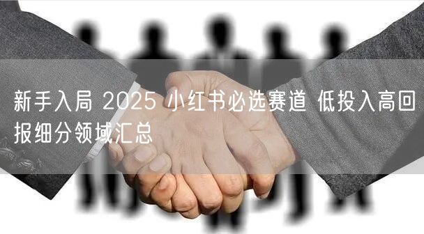 新手入局 2025 小红书必选赛道 低投入高回报细分领域汇总