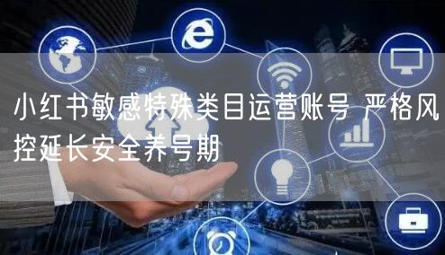 小红书敏感特殊类目运营账号 严格风控延长安全养号期