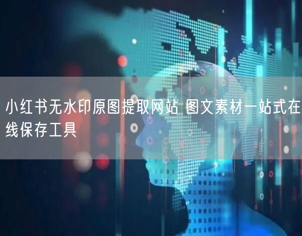 小红书无水印原图提取网站 图文素材一站式在线保存工具