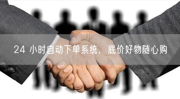 24 小时自动下单系统，底价好物随心购