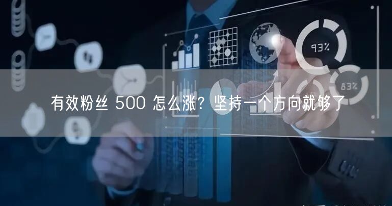 有效粉丝 500 怎么涨？坚持一个方向就够了