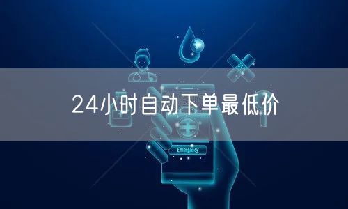 24小时自动下单最低价