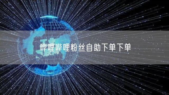 哔哩哔哩粉丝自助下单下单