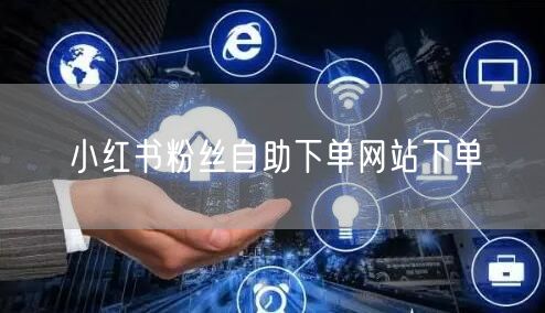 小红书粉丝自助下单网站下单