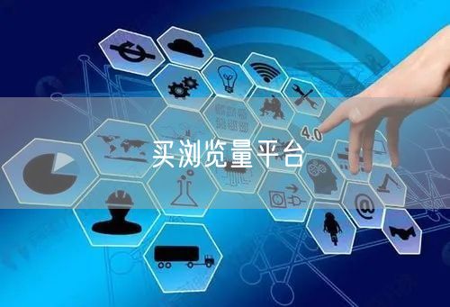 买浏览量平台