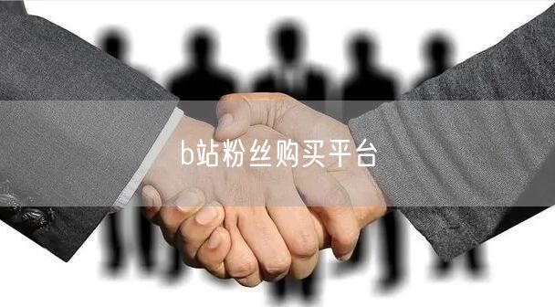 b站粉丝购买平台