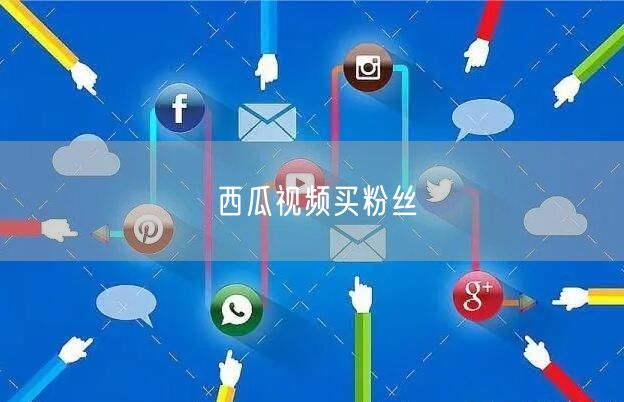 西瓜视频买粉丝