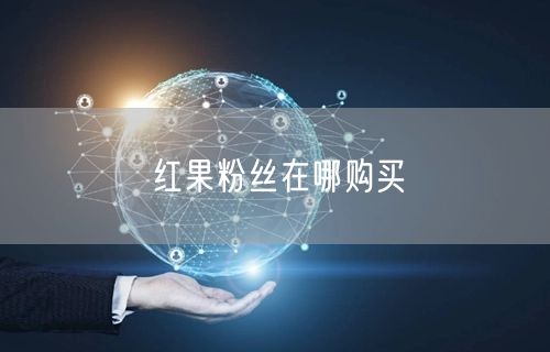 红果粉丝在哪购买