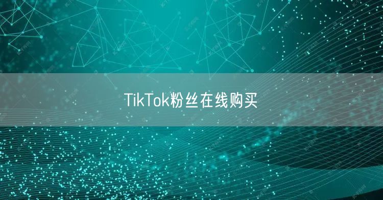 TikTok粉丝在线购买