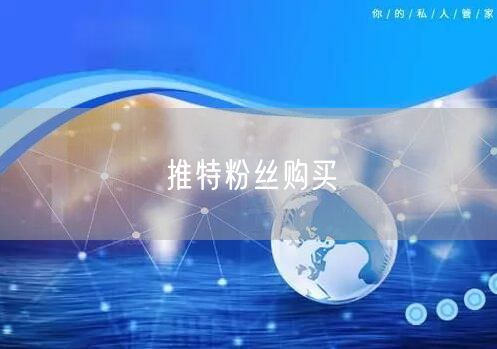 推特粉丝购买