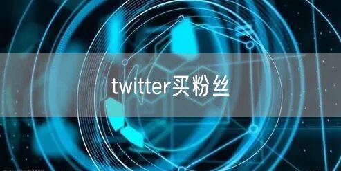 twitter买粉丝