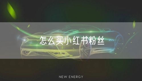 怎么买小红书粉丝