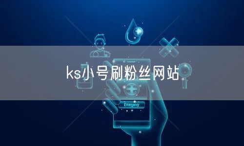 ks小号刷粉丝网站