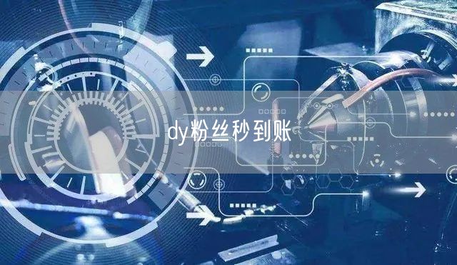 dy粉丝秒到账