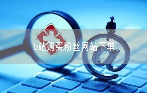 b站购买粉丝网站下单