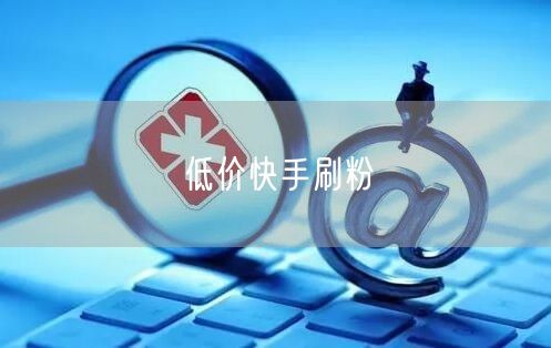 低价快手刷粉