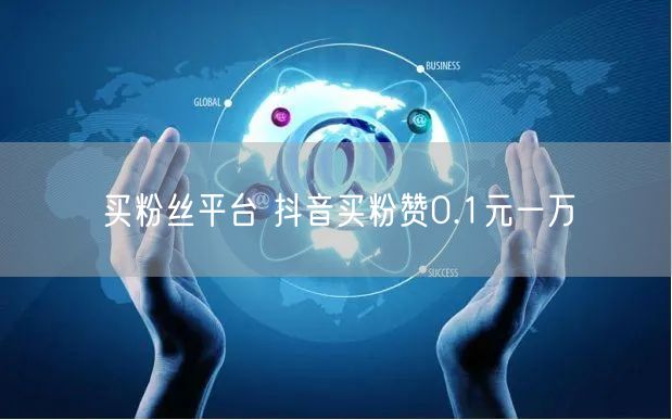 买粉丝平台 抖音买粉赞0.1元一万