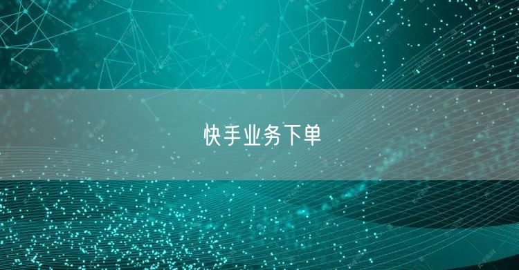 快手业务下单