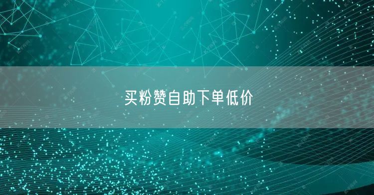 买粉赞自助下单低价