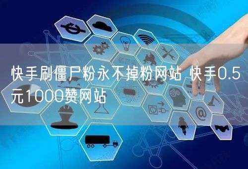 快手刷僵尸粉永不掉粉网站 快手0.5元1000赞网站