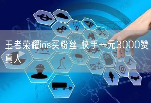 王者荣耀ios买粉丝 快手一元3000赞真人