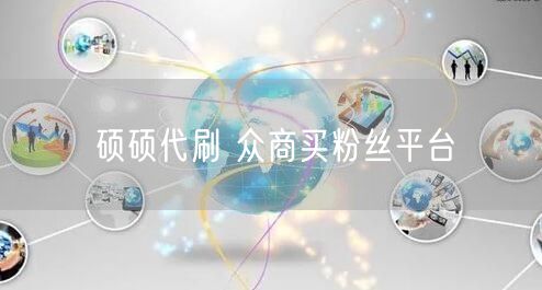 硕硕代刷 众商买粉丝平台