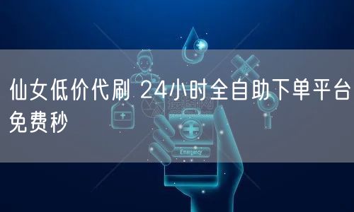 仙女低价代刷 24小时全自助下单平台免费秒