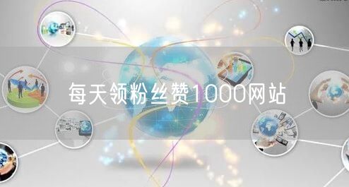 每天领粉丝赞1000网站