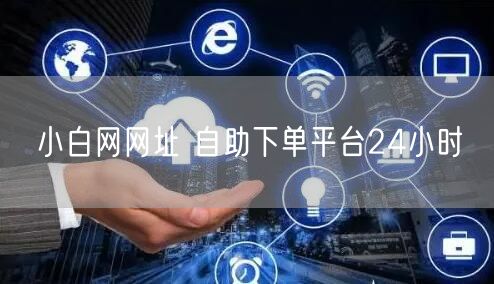 小白网网址 自助下单平台24小时