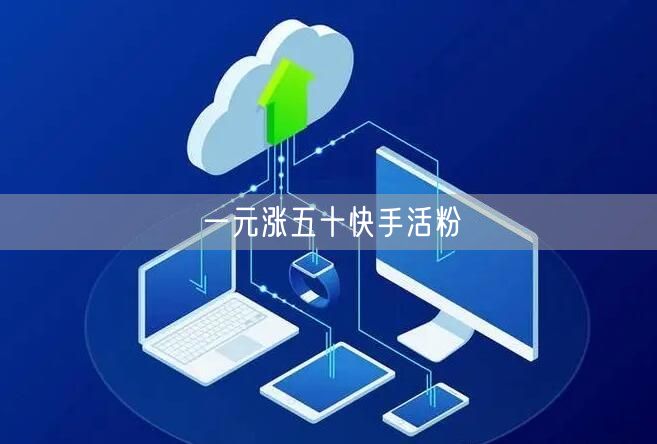 一元涨五十快手活粉