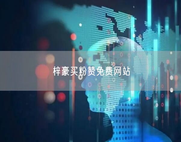 梓豪买粉赞免费网站