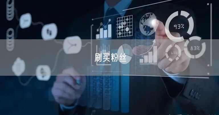 刷买粉丝