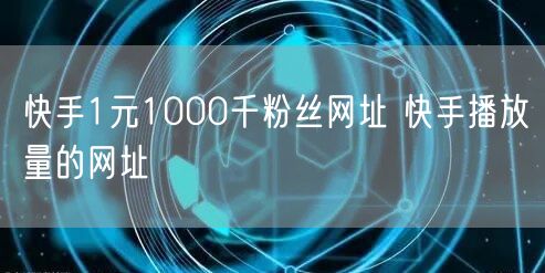 快手1元1000千粉丝网址 快手播放量的网址